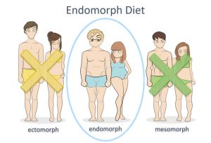 Endomorph Diet