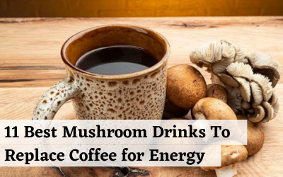 11 Best Mushroom Drinks To Replace Coffee for Energy and Focus