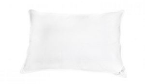 Silk Lined Pillow