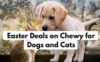 14 Best Chewy Easter Deals for Dogs & Cats