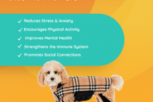 Health Benefits of Owning a Pet & Walkee Paws Leggings For Your Pet